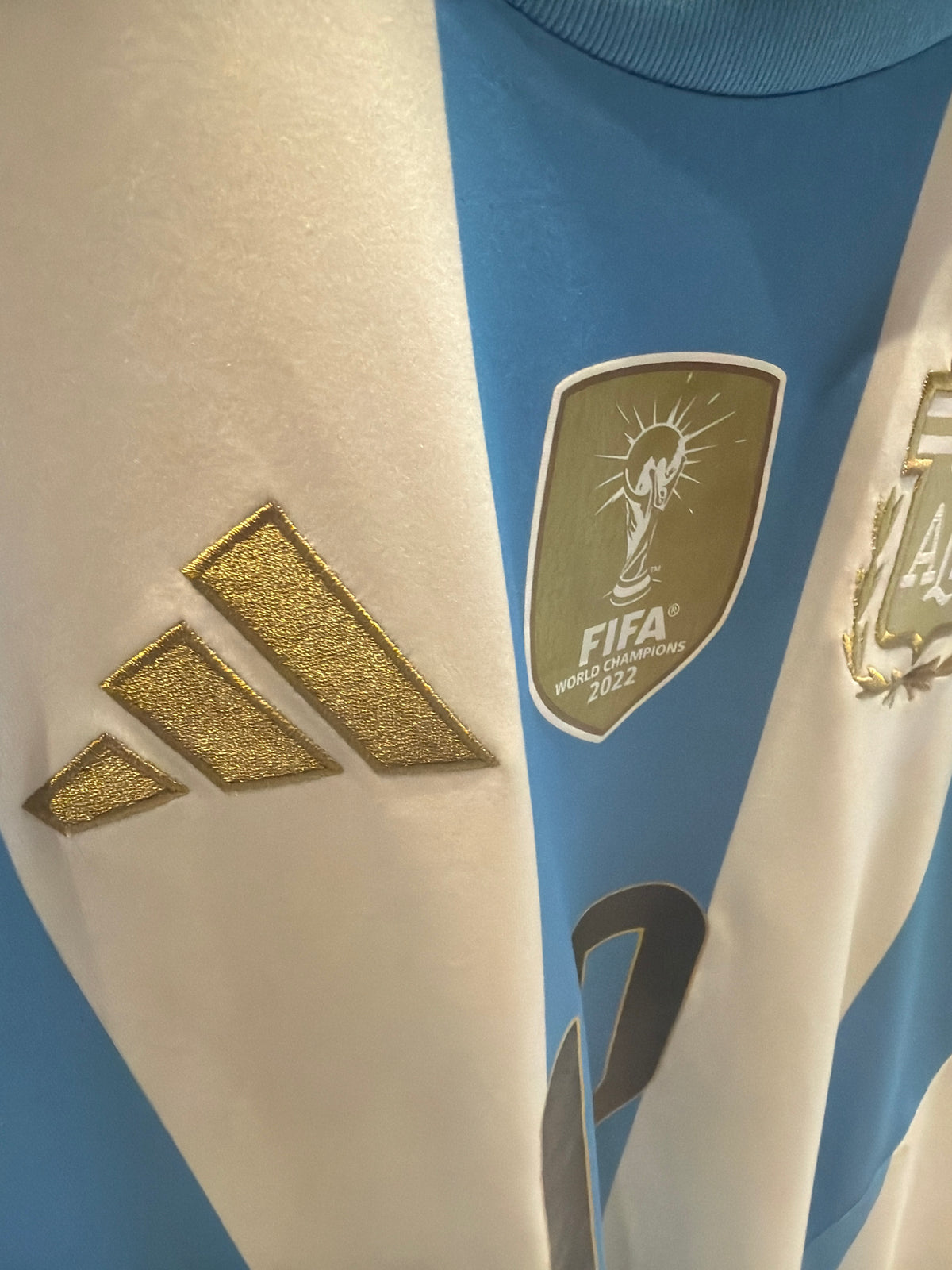 Argentina Home 2024 Messi (M 9/10